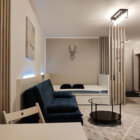 Joy City Stay Vivalia V6A-41 Тимишоара Экстерьер фото