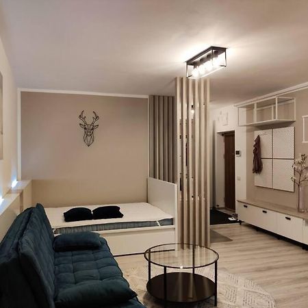 Joy City Stay Vivalia V6A-41 Тимишоара Экстерьер фото