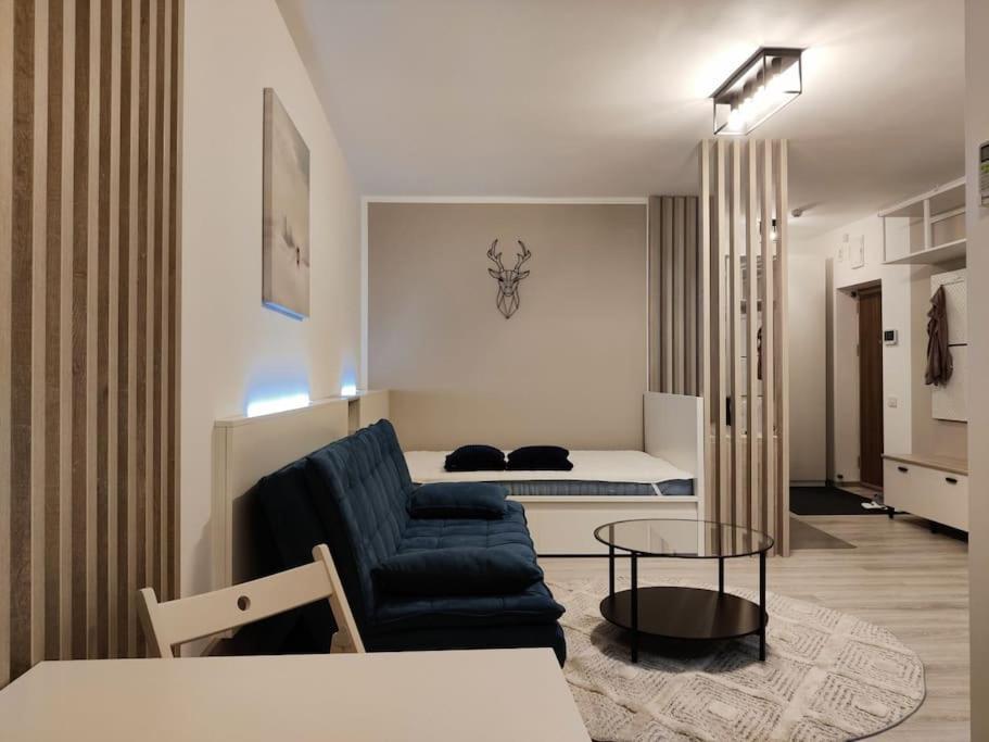 Joy City Stay Vivalia V6A-41 Тимишоара Экстерьер фото